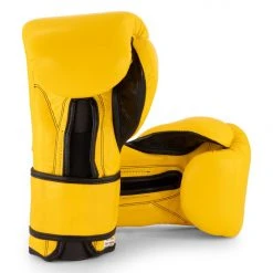 Cleto Reyes - Training Gloves With Reinforced Contact Closure