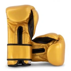 Cleto Reyes - Training Gloves With Reinforced Contact Closure