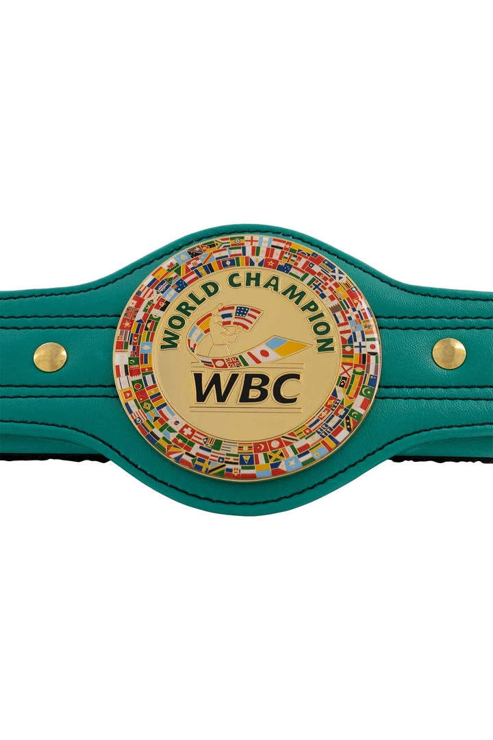 WBC Store WBC Products WBC - Seat Belt Cover