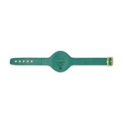 WBC Store WBC Belts WBC - Championship Belt