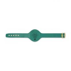 WBC Store WBC Belts WBC - Championship Belt